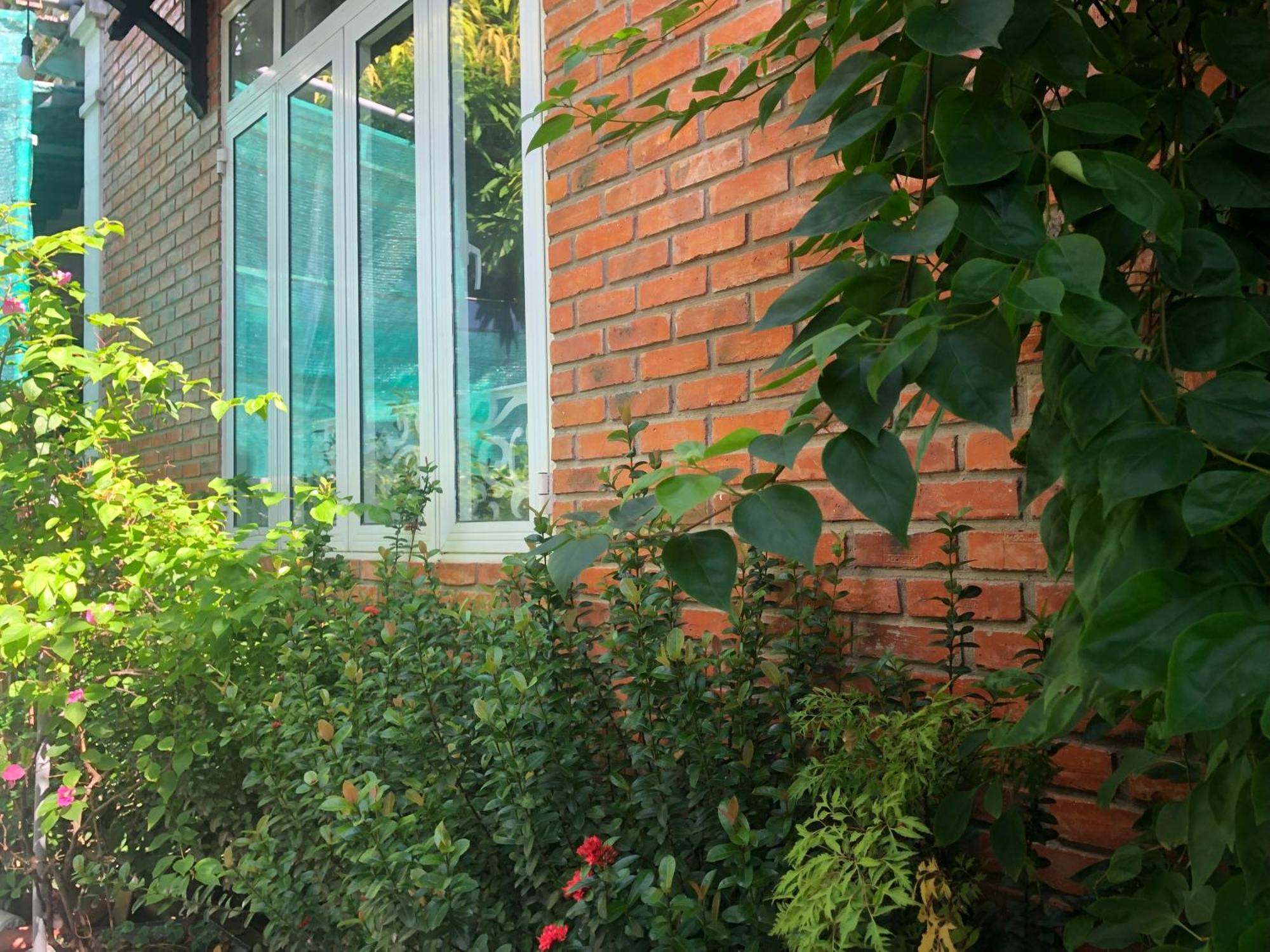 Q'Tropical Garden Homestay 顺化 外观 照片